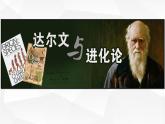 苏教版六年级科学下册 3.3 达尔文与他的“进化论”课件