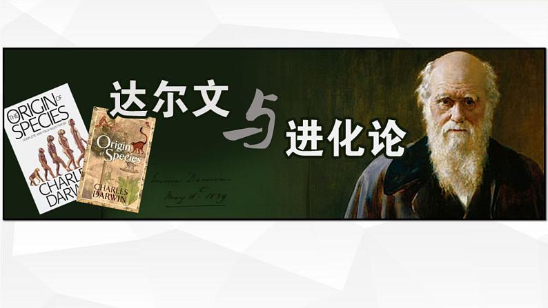 苏教版六年级科学下册 3.3 达尔文与他的“进化论”课件第4页