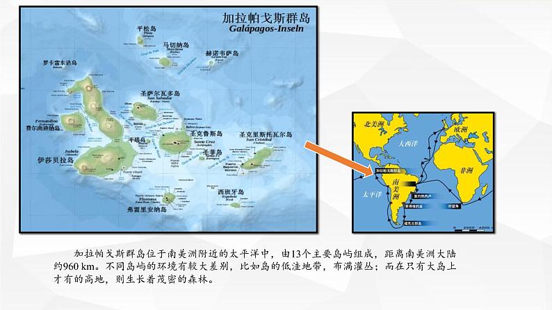 苏教版六年级科学下册 3.3 达尔文与他的“进化论”课件第8页