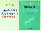 苏教版六年级科学下册 3.3 达尔文与他的“进化论”(8)课件