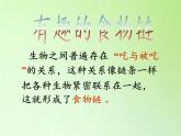 苏教版六年级科学下册 4.3 有趣的食物链(9)课件