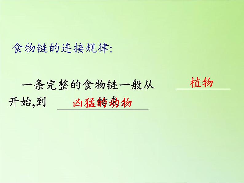 苏教版六年级科学下册 4.3 有趣的食物链(9)课件第6页