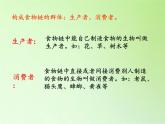 苏教版六年级科学下册 4.3 有趣的食物链(3)课件