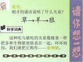 苏教版六年级科学下册 4.3 有趣的食物链(17)课件