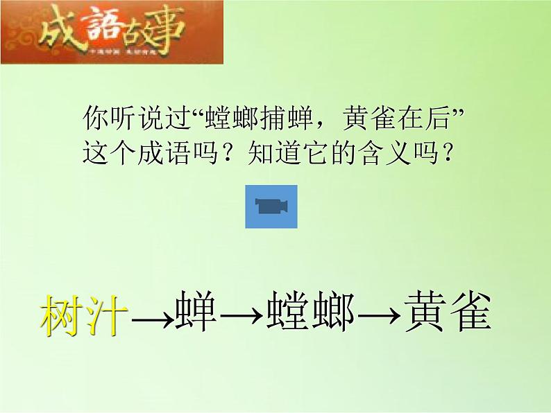 苏教版六年级科学下册 4.3 有趣的食物链(17)课件第4页