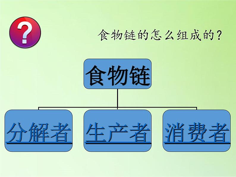 苏教版六年级科学下册 4.3 有趣的食物链(17)课件第7页