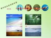 苏教版六年级科学下册 4.1 寻找生物的家园(3)课件