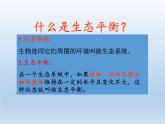 苏教版六年级科学下册 4.4 生态平衡(3)课件