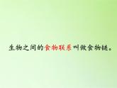 苏教版六年级科学下册 4.3 有趣的食物链(13)课件