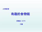 苏教版六年级科学下册 4.3 有趣的食物链课件