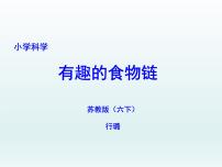 苏教版六年级下册3.有趣的食物链教课课件ppt