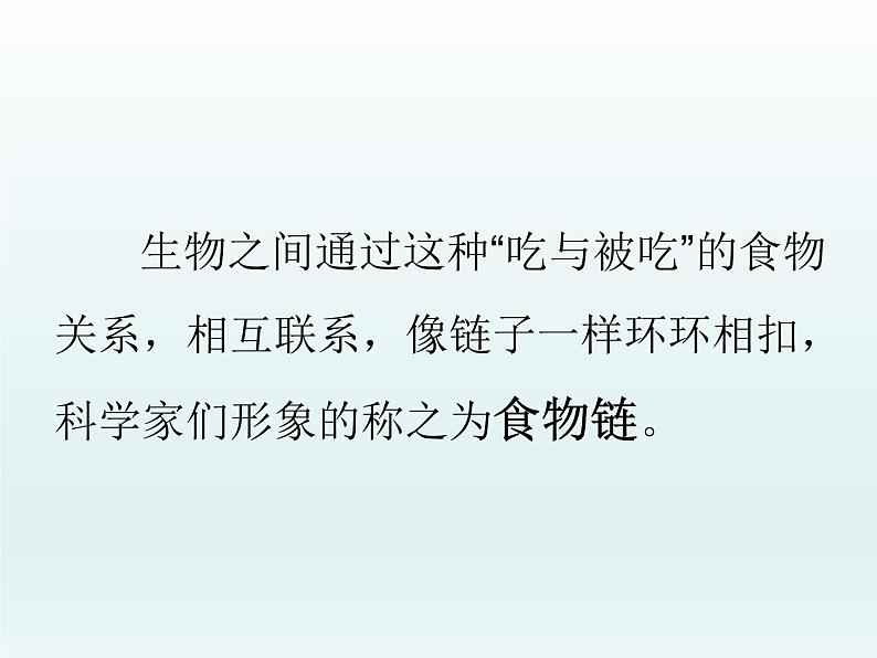 苏教版六年级科学下册 4.3 有趣的食物链课件第4页