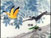 苏教版六年级科学下册 4.3 有趣的食物链课件