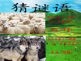 苏教版六年级科学下册 4.3 有趣的食物链(2)课件