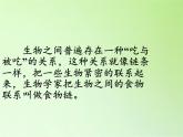 苏教版六年级科学下册 4.3 有趣的食物链(2)课件