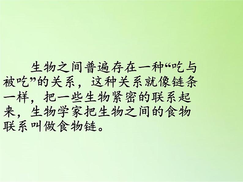 苏教版六年级科学下册 4.3 有趣的食物链(2)课件第5页