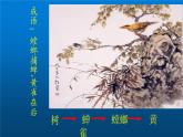 苏教版六年级科学下册 4.3 有趣的食物链(14)课件