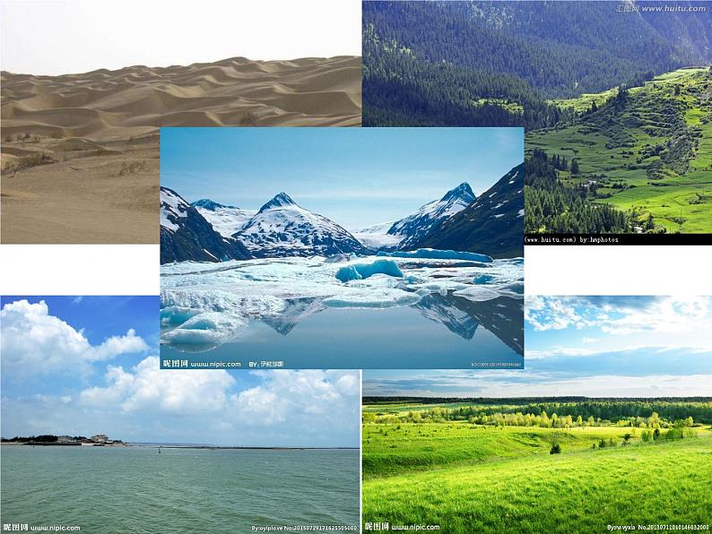 苏教版六年级科学下册 4.1 寻找生物的家园课件第3页