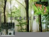 苏教版六年级科学下册 4.4 生态平衡(11)课件