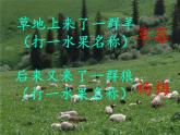 苏教版六年级科学下册 4.3 有趣的食物链(1)课件
