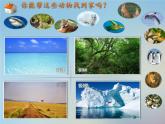 苏教版六年级科学下册 4.1 寻找生物的家园(5)课件