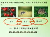 苏教版六年级科学下册 4.4 生态平衡(9)课件