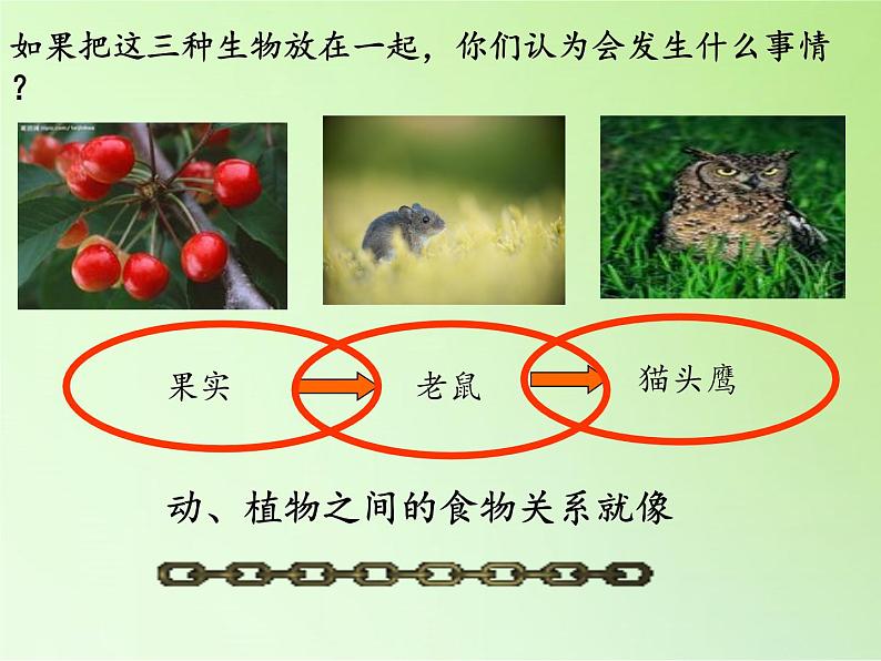 苏教版六年级科学下册 4.4 生态平衡(9)课件第3页