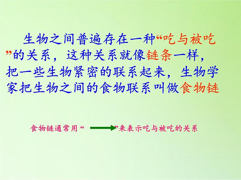 苏教版六年级科学下册 4.4 生态平衡(9)课件第4页