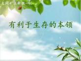苏教版六年级科学下册 4.2 有利于生存的本领(4)课件