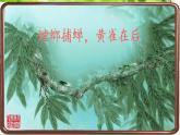 苏教版六年级科学下册 4.3 有趣的食物链(7)课件