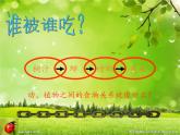 苏教版六年级科学下册 4.3 有趣的食物链(7)课件