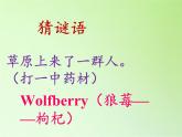 苏教版六年级科学下册 4.4 生态平衡(2)课件