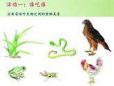 苏教版六年级科学下册 4.4 生态平衡(2)课件