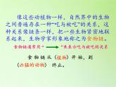 苏教版六年级科学下册 4.3 有趣的食物链(12)课件