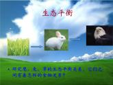 苏教版六年级科学下册 4.4 生态平衡(10)课件