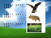 苏教版六年级科学下册 4.4 生态平衡(10)课件