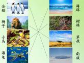 苏教版六年级科学下册 4.1 寻找生物的家园(1)课件