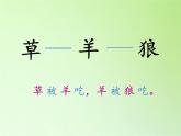 苏教版六年级科学下册 4.3 有趣的食物链(22)课件
