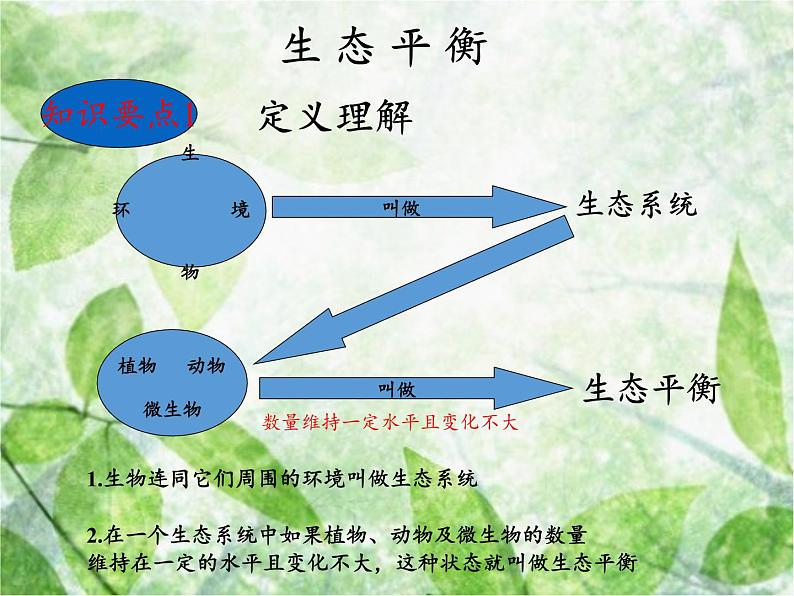 苏教版六年级科学下册 4.4 生态平衡(13)课件第4页