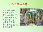 苏教版六年级科学下册 4.2 有利于生存的本领(7)课件