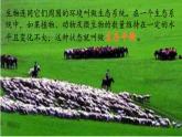 苏教版六年级科学下册 4.4 生态平衡(1)课件
