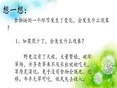 苏教版六年级科学下册 4.4 生态平衡(1)课件