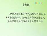 苏教版六年级科学下册 4.3 有趣的食物链(20)课件