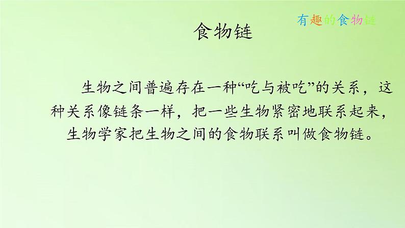 苏教版六年级科学下册 4.3 有趣的食物链(20)课件04