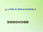 苏教版六年级科学下册 4.3 有趣的食物链(19)课件