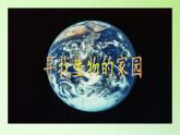 苏教版六年级科学下册 4.1 寻找生物的家园(2)课件