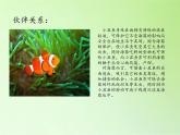苏教版六年级科学下册 4.1 寻找生物的家园(2)课件