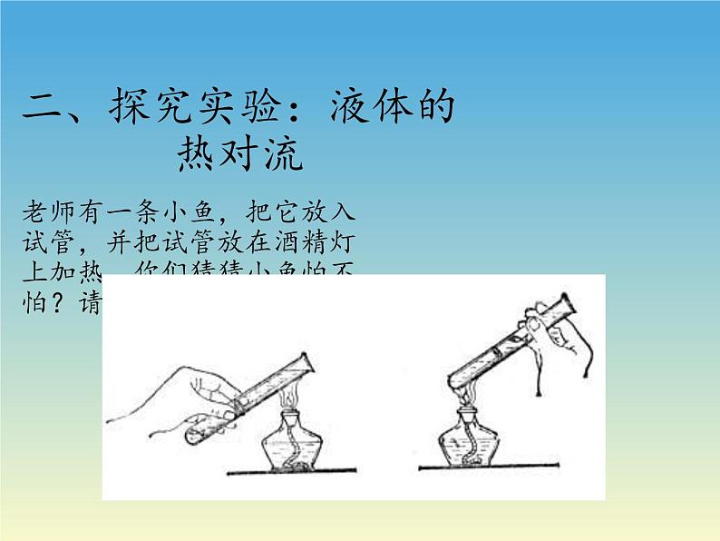 苏教版六年级科学下册 6.1 拓展(2)课件03