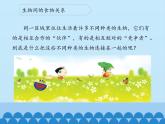 苏教版六年级科学下册4.3 有趣的食物链_课件