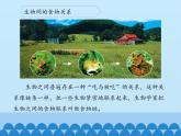 苏教版六年级科学下册4.3 有趣的食物链_课件